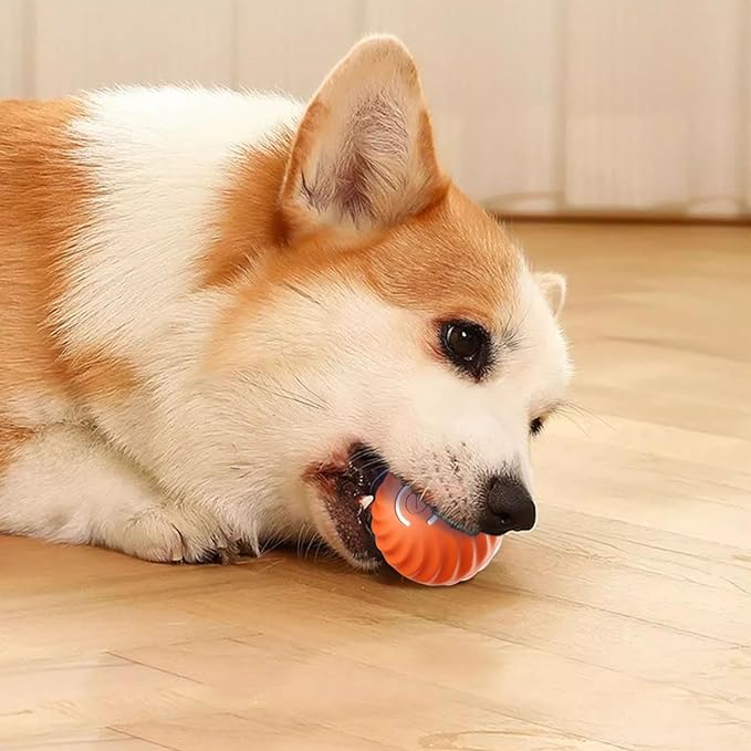 ⏳Black Friday Sale - ￡8.99!!🏆Flash Sale⚡50K+ SOLD! Almost Gone💥Automatic Smart Teasing Dog Ball That Can't be Bitten🐶