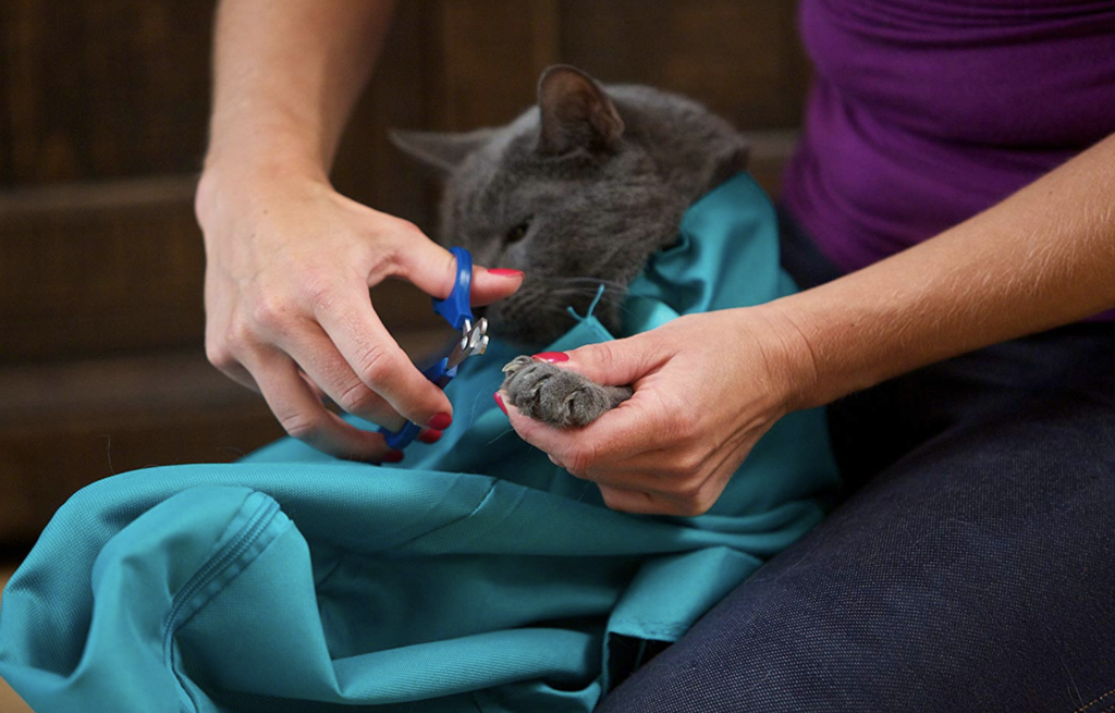 🔥Hot Sale 49% OFF🐱Cat Carrier Pouch