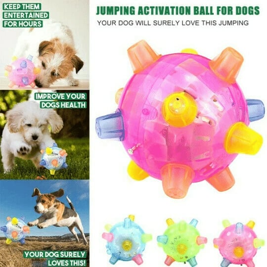 💥BUY 2 GET 1 Free💥JUMPING ACTIVATION BALL FOR DOGS