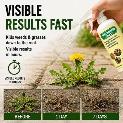 🔥Last Day Promotion 49% OFF🔥2026 SALE Fast-Acting Natural Weed & Grass Killer Spray✨