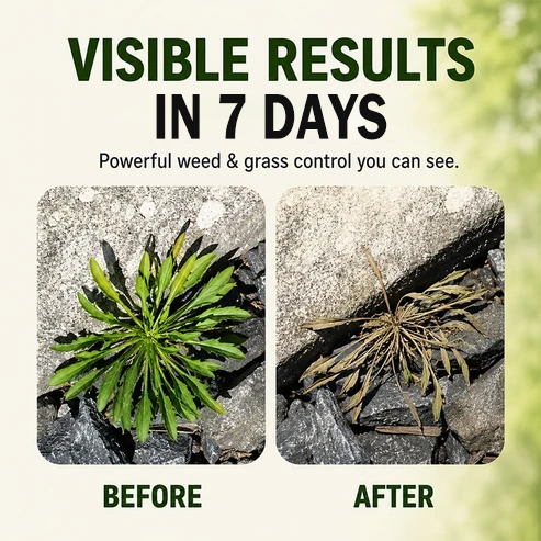 🔥Last Day Promotion 49% OFF🔥2026 SALE Fast-Acting Natural Weed & Grass Killer Spray✨