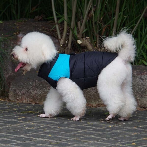 🐕Winter Warm Clothes Zipper Waterproof Dog Vest(Size:S-7XL) ✨ Buy 2 Get 10% OFF✨