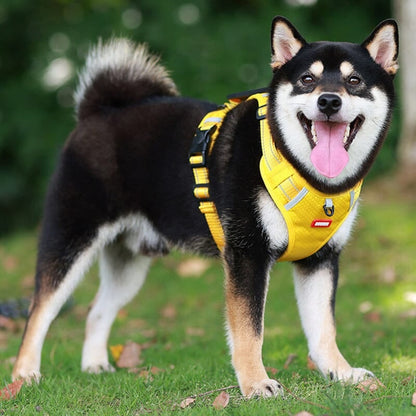 🔥Christmas Sale 49% OFF - Reflective Dog Chest Strap
