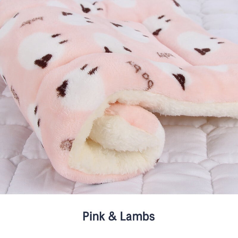 🎅Christmas Sale 50%OFF🐱Cosy Calming Pet Blanket🏆#1 Best Seller