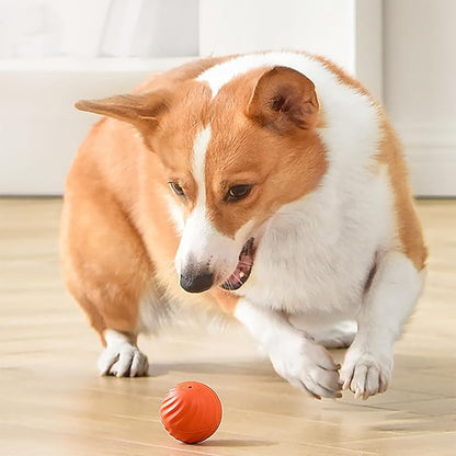 ⏳Black Friday Sale - ￡8.99!!🏆Flash Sale⚡50K+ SOLD! Almost Gone💥Automatic Smart Teasing Dog Ball That Can't be Bitten🐶