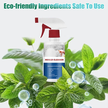 🔥New Year Sale - Buy 2 Get 1 Free🔥Mould & Mildew Removing Foam Spray