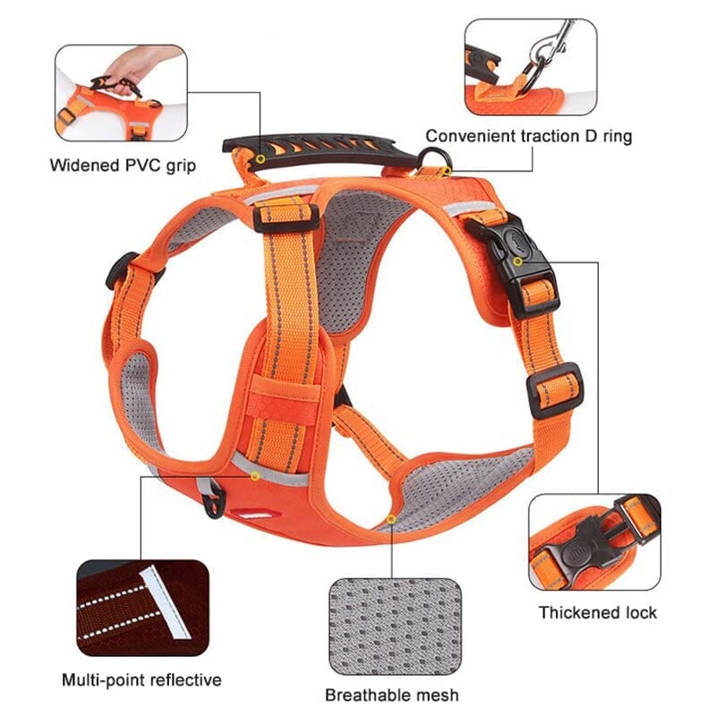🔥Christmas Sale 49% OFF - Reflective Dog Chest Strap