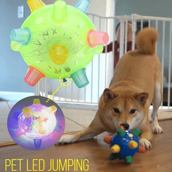 💥BUY 2 GET 1 Free💥JUMPING ACTIVATION BALL FOR DOGS