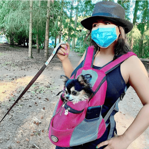 🔥New Year Sale 49% OFF🐕Lovely Dog Carrier Backpack🎁Free Shipping