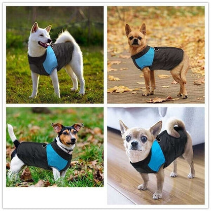 🐕Winter Warm Clothes Zipper Waterproof Dog Vest(Size:S-7XL) ✨ Buy 2 Get 10% OFF✨