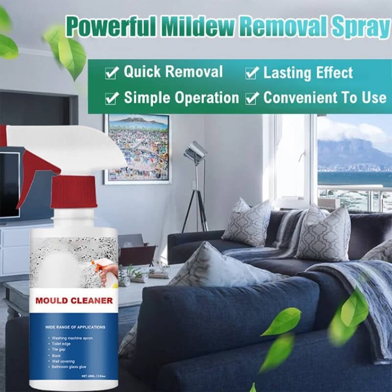 🔥New Year Sale - Buy 2 Get 1 Free🔥Mould & Mildew Removing Foam Spray