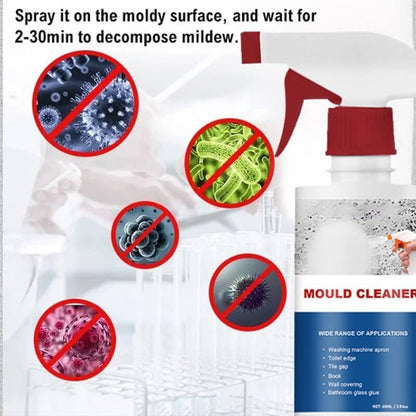 🔥New Year Sale - Buy 2 Get 1 Free🔥Mould & Mildew Removing Foam Spray