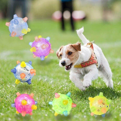 💥BUY 2 GET 1 Free💥JUMPING ACTIVATION BALL FOR DOGS