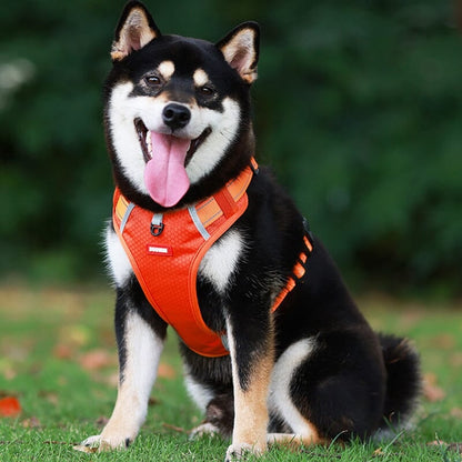 🔥Christmas Sale 49% OFF - Reflective Dog Chest Strap
