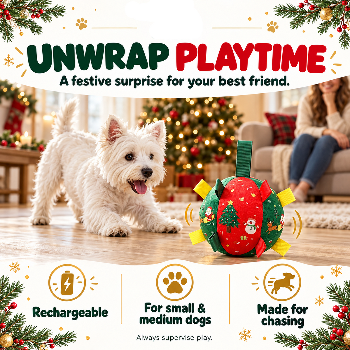 🎄Black Friday Sale 50% OFF!!⏳Flash Sale🏆50K+ SOLD!💥Dog Christmas Interactive Toy Soccer Ball with Bell🐕