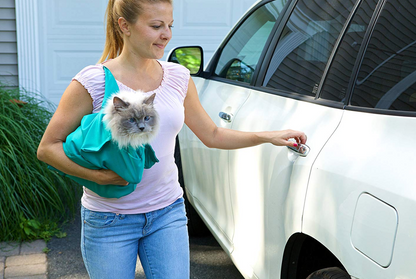 🔥Hot Sale 49% OFF🐱Cat Carrier Pouch