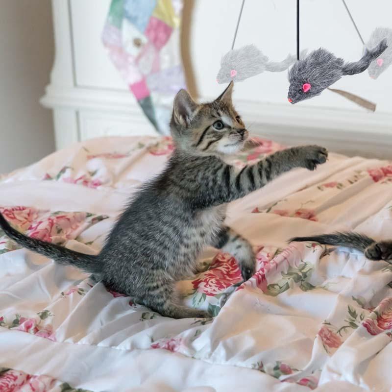 49% OFF - Hanging Door Bouncing Mouse Cat Toy🎁Buy 2 Get 1 Free & Free Shipping