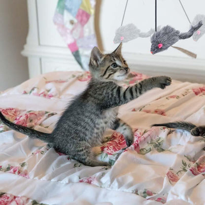 49% OFF - Hanging Door Bouncing Mouse Cat Toy🎁Buy 2 Get 1 Free & Free Shipping