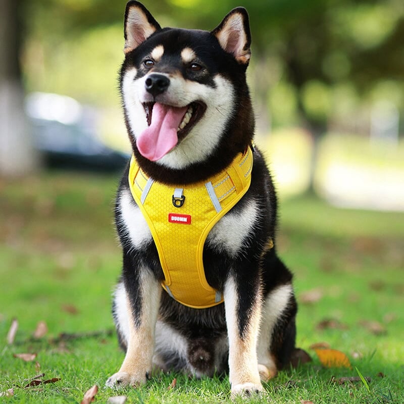 🔥Christmas Sale 49% OFF - Reflective Dog Chest Strap