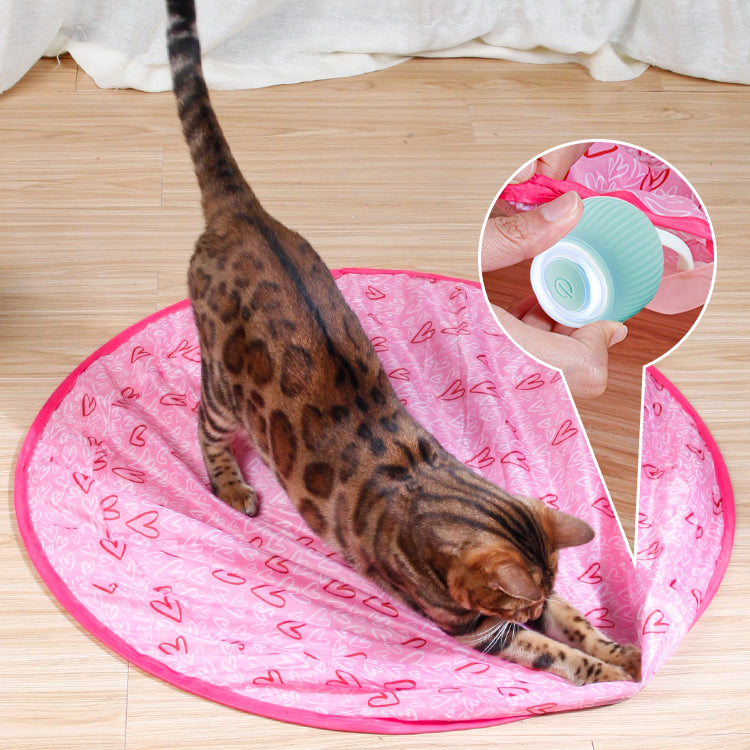 🔥New Year Sale 50% OFF🐱2 in 1 Simulated Interactive Hunting Cat Toy✨