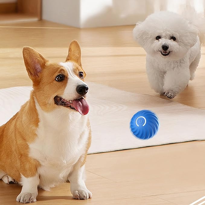 ⏳Black Friday Sale - ￡8.99!!🏆Flash Sale⚡50K+ SOLD! Almost Gone💥Automatic Smart Teasing Dog Ball That Can't be Bitten🐶