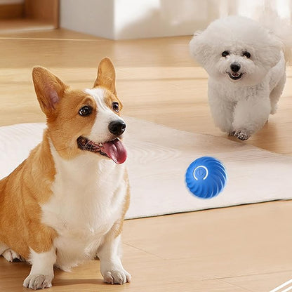 ⏳Black Friday Sale - ￡8.99!!🏆Flash Sale⚡50K+ SOLD! Almost Gone💥Automatic Smart Teasing Dog Ball That Can't be Bitten🐶