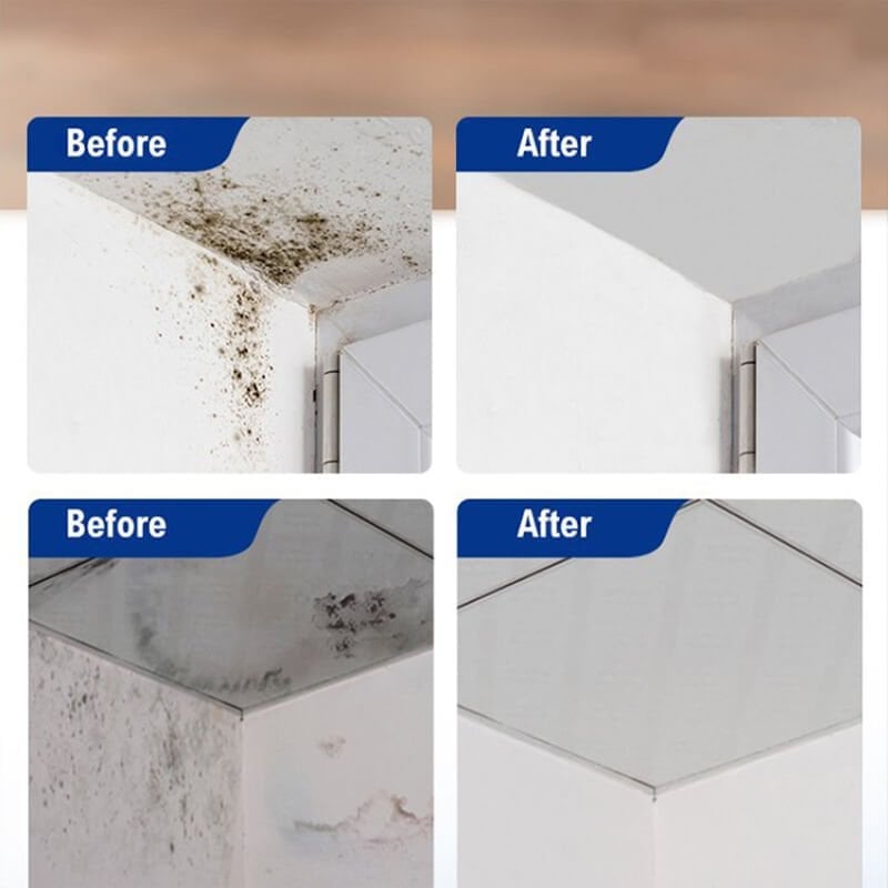 🔥New Year Sale - Buy 2 Get 1 Free🔥Mould & Mildew Removing Foam Spray