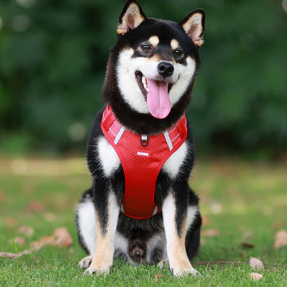 🔥Christmas Sale 49% OFF - Reflective Dog Chest Strap