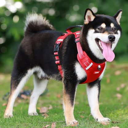 🔥Christmas Sale 49% OFF - Reflective Dog Chest Strap
