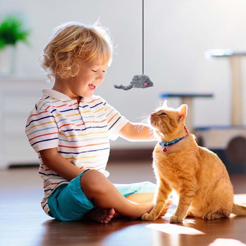 49% OFF - Hanging Door Bouncing Mouse Cat Toy🎁Buy 2 Get 1 Free & Free Shipping