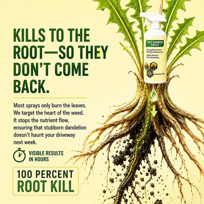 🔥Last Day Promotion 49% OFF🔥2026 SALE Fast-Acting Natural Weed & Grass Killer Spray✨