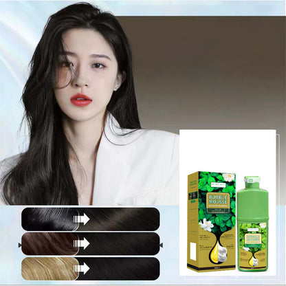 🏆💇‍♀️Long‑Lasting Plant‑Based Foam Hair Dye｜Ammonia‑Free Easy DIY At‑Home Foam Hair Color