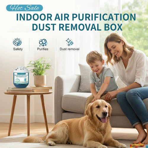 🔥2027 New Collection - Limited-Time Pre-Sale⏰Indoor Air Purification Dust Removal Box🏠🌿