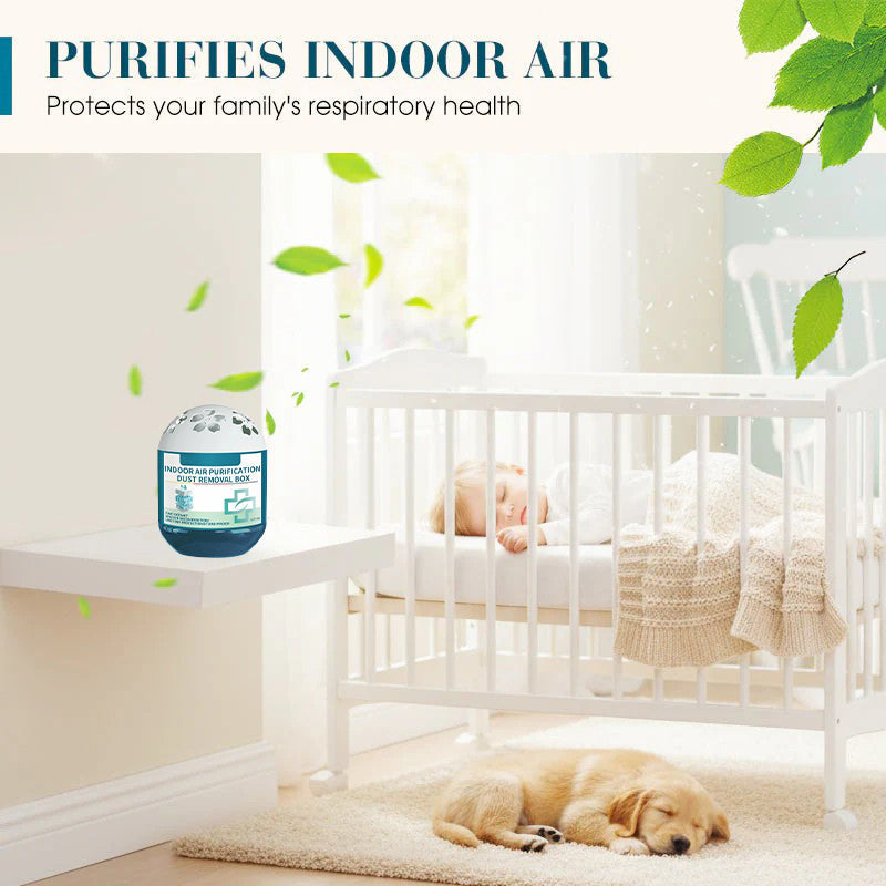 🔥2027 New Collection - Limited-Time Pre-Sale⏰Indoor Air Purification Dust Removal Box🏠🌿